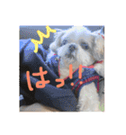 毎日おペロ♡（個別スタンプ：10）