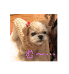 毎日おペロ♡（個別スタンプ：12）