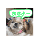 毎日おペロ♡（個別スタンプ：22）