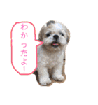 毎日おペロ♡（個別スタンプ：24）