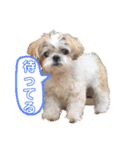 毎日おペロ♡（個別スタンプ：31）