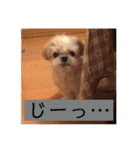 毎日おペロ♡（個別スタンプ：33）