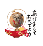 毎日おペロ♡（個別スタンプ：38）