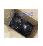 ぼく、かいと^._.^（個別スタンプ：7）