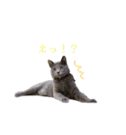 ぼく、かいと^._.^（個別スタンプ：8）