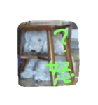 構ってほしい犬（個別スタンプ：4）