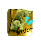 構ってほしい犬（個別スタンプ：5）