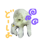 構ってほしい犬（個別スタンプ：6）