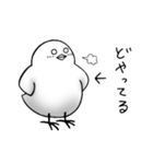 虚無虚無ひよこ（個別スタンプ：4）