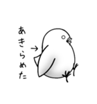 虚無虚無ひよこ（個別スタンプ：8）