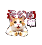 すべてとてもかわいいです（個別スタンプ：5）