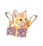 すべてとてもかわいいです（個別スタンプ：8）