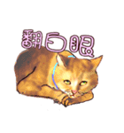 すべてとてもかわいいです（個別スタンプ：13）