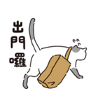 猫の日常対話（個別スタンプ：8）