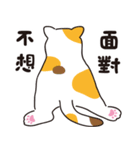 猫の日常対話（個別スタンプ：12）