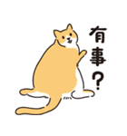 猫の日常対話（個別スタンプ：25）