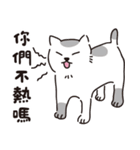 猫の日常対話（個別スタンプ：36）