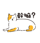 猫の日常対話（個別スタンプ：40）