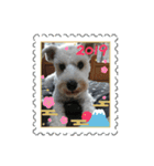 私の可愛い愛犬～お正月編～（個別スタンプ：1）