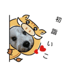 私の可愛い愛犬～お正月編～（個別スタンプ：3）