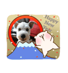 私の可愛い愛犬～お正月編～（個別スタンプ：4）