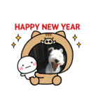 私の可愛い愛犬～お正月編～（個別スタンプ：7）