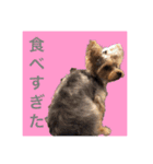めかぶたん②（個別スタンプ：11）
