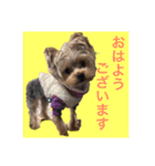 めかぶたん②（個別スタンプ：13）