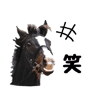 【公認】競走馬イスラボニータ【競馬】（個別スタンプ：2）