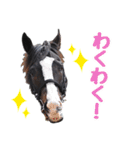 【公認】競走馬イスラボニータ【競馬】（個別スタンプ：5）
