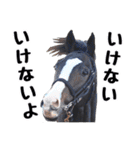 【公認】競走馬イスラボニータ【競馬】（個別スタンプ：10）