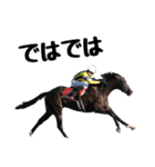 【公認】競走馬イスラボニータ【競馬】（個別スタンプ：16）