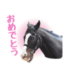 【公認】競走馬イスラボニータ【競馬】（個別スタンプ：17）