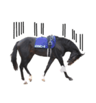 【公認】競走馬イスラボニータ【競馬】（個別スタンプ：19）
