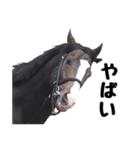 【公認】競走馬イスラボニータ【競馬】（個別スタンプ：25）