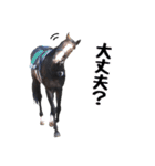 【公認】競走馬イスラボニータ【競馬】（個別スタンプ：27）