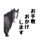 【公認】競走馬イスラボニータ【競馬】（個別スタンプ：28）