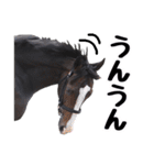 【公認】競走馬イスラボニータ【競馬】（個別スタンプ：30）