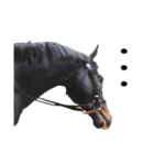 【公認】競走馬イスラボニータ【競馬】（個別スタンプ：32）