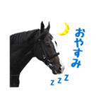 【公認】競走馬イスラボニータ【競馬】（個別スタンプ：35）