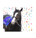 【公認】競走馬イスラボニータ【競馬】（個別スタンプ：37）