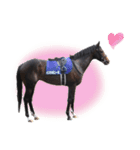 【公認】競走馬イスラボニータ【競馬】（個別スタンプ：38）