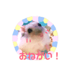 うちのハムたん モカくん編（個別スタンプ：1）