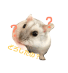 うちのハムたん モカくん編（個別スタンプ：2）