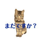 壁太郎と屋根次郎（個別スタンプ：23）