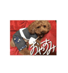 わが家のりくです。（個別スタンプ：1）