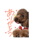 わが家のりくです。（個別スタンプ：5）
