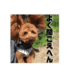 わが家のりくです。（個別スタンプ：8）