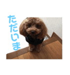 わが家のりくです。（個別スタンプ：13）