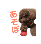 わが家のりくです。（個別スタンプ：16）